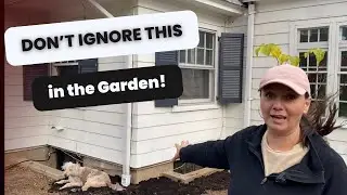 💦 Why You NEED to Fix Drainage Before Planting 💧