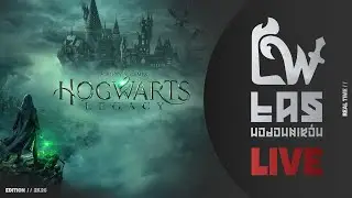 [LIVE] - GRUPOWY - 🏁|🏬|✨ - @Wojtuch566 ➡️ @Dzikobi ➡️ @dzoana91