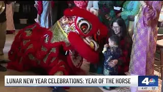 2026 Lunar New Year marks the year of the horse