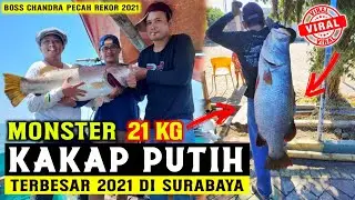 Rekor..mancing kakap putih Terbesar di Surabaya (2)