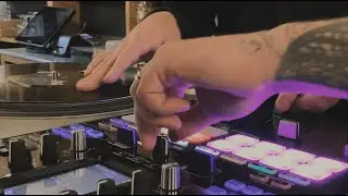 BOLD - Shook (Live Video)