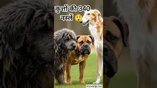 कुत्तों की 340 नस्लें 😲 | Top Dog Breeds of World | #Shorts #viral #dogs #animallovers #dogsworld