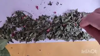 Dry leaf art #diy session