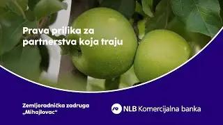 Snaga zajednice u kompaniji Mihajlovac