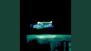 Feather Boa