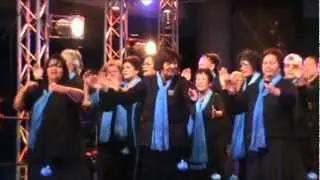 Tenei ra a Waikato -  - WAIKATO TANIWHARAU KAUMATUA 2012