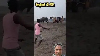 power of elephant and JCB🔥🔥 VS🤦🤦🤦 #shorts