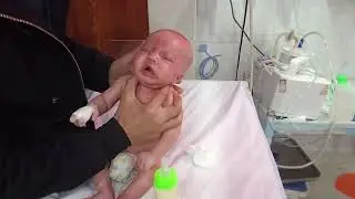 Peaceful Bottle Feeding Moments with Baby 🍼Calm & Happy Baby Bottle Feeding TimeSweet Baby feeding. 