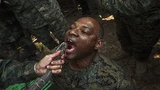 Top 10 Locos Ejercicios de Entrenamiento Militar