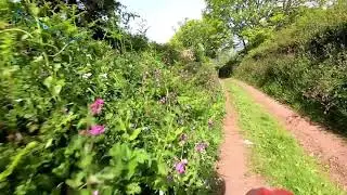 Stokeinteignhead Lane