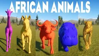West African Lion, Cheetah, African Buffalo, Giraffe & Other African Animals Category in Planet Zoo