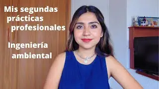 Pr&aacute;cticas profesionales en ingenier&iacute;a ambiental (mi experiencia)