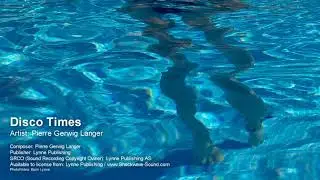 Disco Times - Pierre Gerwig Langer (Lynne Publishing)