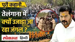 Kancha Gachibowli Land: Telangana Govt ने क्यों उजाड़ा 400 acres का Kancha Gachibowli Forest ?|SB
