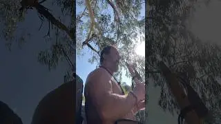 Flute Offering Mayan Vibes 24.04.2025 #awarewolves #compassion