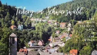 THỊ TRẤN TRIBERG CỔ TÍCH DƯỚI BÓNG RỪNG ĐEN 🇩🇪 | FOLLOWING THE SHOW OF THE BLACK FOREST | DUy DE