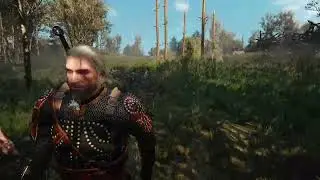 MOD Immersive camera 🎬😜 - The Witcher 3: Wild Hunt - PC🎮