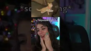 Kitty! #gaming #twitch #shorts #liesofp #liesofpoverture #varietystreamer