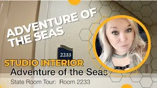 Adventure of the Seas - Interior Studio Stateroom Tour - Cabin 2233