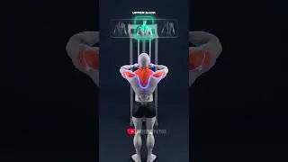 🔥One machine can train your entire back💪#backday #fyp #fypシ゚viral #shorts #trending #viral #edit #yt