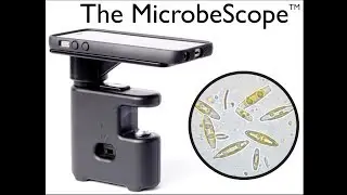 MicrobeScope Kickstarter Video