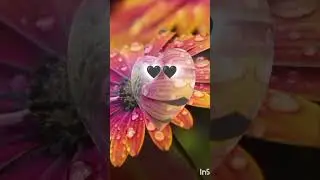 DO You LOVE Watching Emotional Text Videos😘 🖤🖤#🖤🖤#text#fyp #trending