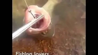 BEST FISH HOOK YOU SHOULD BUY