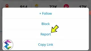 Explurger App Account Report Process Explained