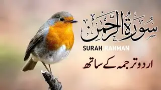 Surah Rahman With Urdu Translation full Qari Al Sheikh Abdul Basit Abdul Samad ( tilawat e quran )