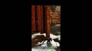 ARK Survival Ascended Rag PVP