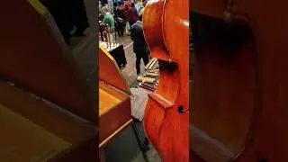 LIFEM 2023 - Double Bass by Pillement, France, 1781 - The Early Music Shop - #shorts