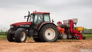 Semina Soia su Sodo con New Holland M160 & Past&ograve; s.n.c. Orione + MaterMacc MS 8230 | Forestan