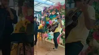 Bollywood Song | Live performance | #mohali #cp67mohali #liveperformance