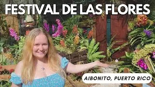 Festival de las flores en Puerto Rico | Amazing Flower Festival in Aibonito, Puerto Rico