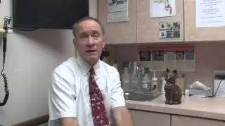 Treatment for Nasal & Throat Congestion in Cats