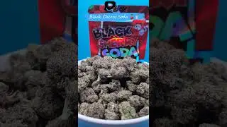 Black Cherry Soda 🍒🥤
