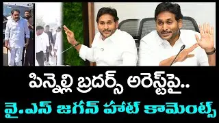 YS Jagan React On Pinnelli Brothers Arrest : Top Telugu News