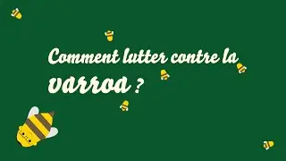 Comment lutter contre le varroa?