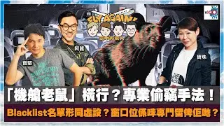 【網台精華】「機艙老鼠」橫行！專業偷竊手法！Blacklist名單形同虛設？窗口位係咪專門留俾佢哋？｜空中再飛人｜寶珠、寶堅、囂