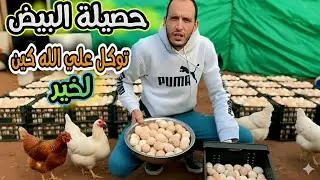 رشينا لملح لقمح أو جمعنا حصيلة البيض أو هادو هوما العوامل باش توازي الإنتاجية أو دزيد في رباح ديالك