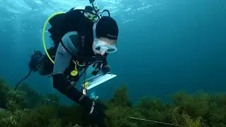 Citizen scientists survey reef life of the Fleurieu Peninsula in South Australia