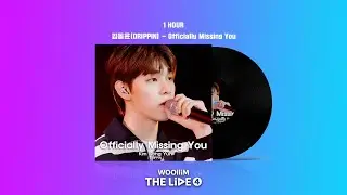 [1시간 연속 재생] 김동윤(DRIPPIN) - Officially Missing You COVER | woollim THE LIVE 4