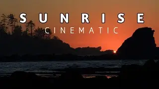 Cinematic Video | Farm Video | Banana, Corn Farm | Vlog | Cinematic music no copyright | VP Tube