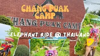 Chang Puak Camp ( Elephant Ride) first stop
