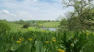 Winterthur Museum, Garden and Library, Delaware