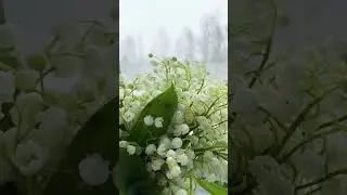 1 мая 2024 г.