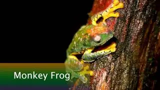 Episode 8: Introduction to the Amazon Research Center