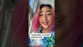Psychiatric service dogs are NOT emotional support animals!