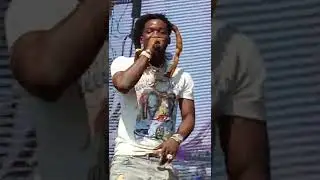 st Pete rap concert