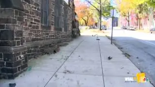Baltimore narcotic unit pursuit leads to fatal crash